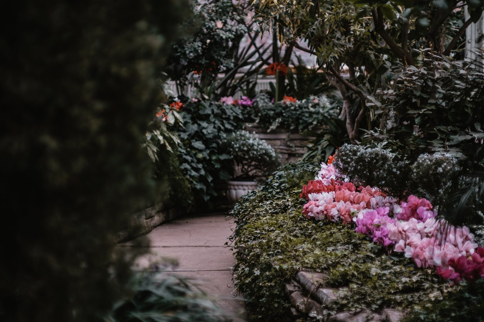 Lush Garden Pathway