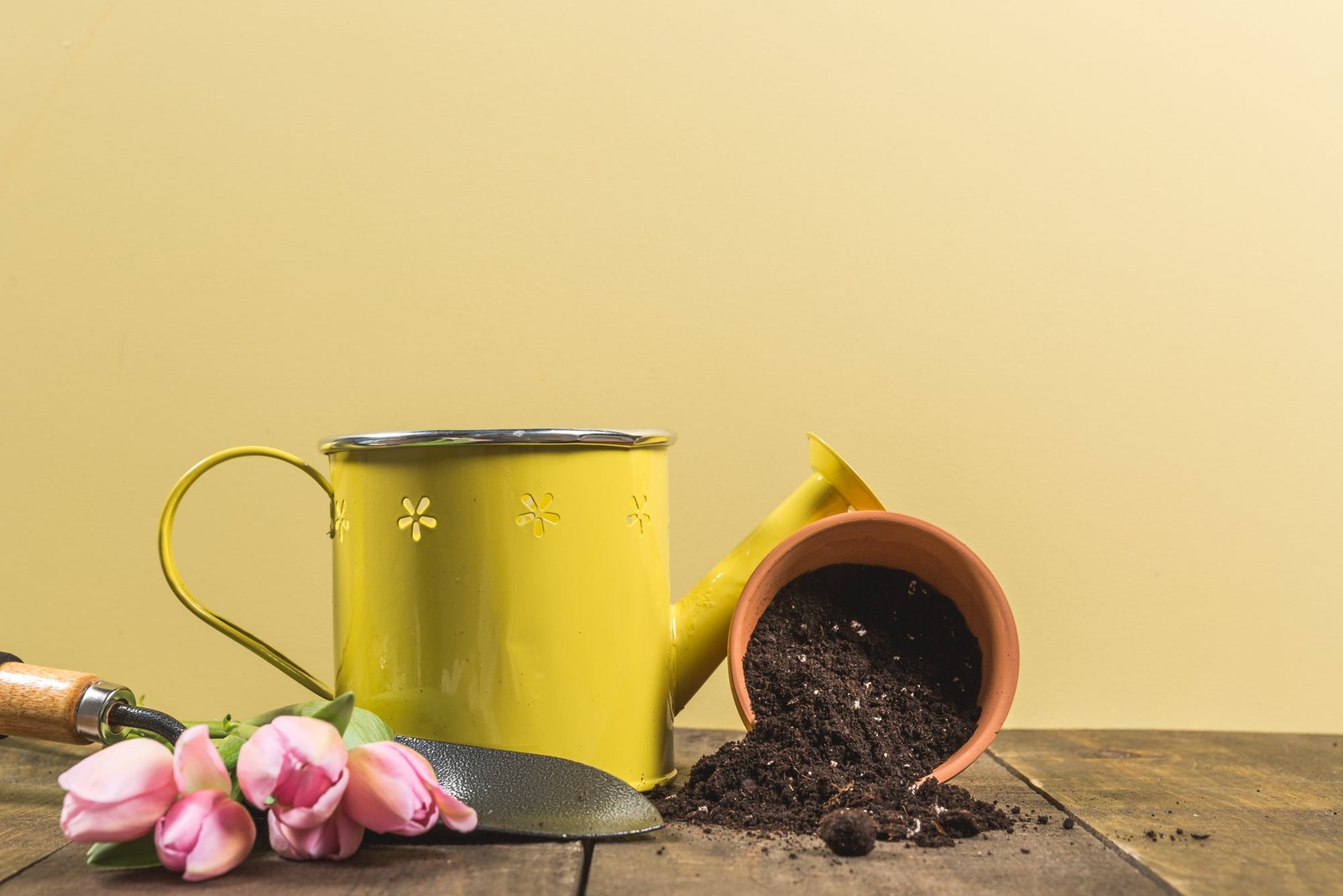 Yellow Background Gardening Tools