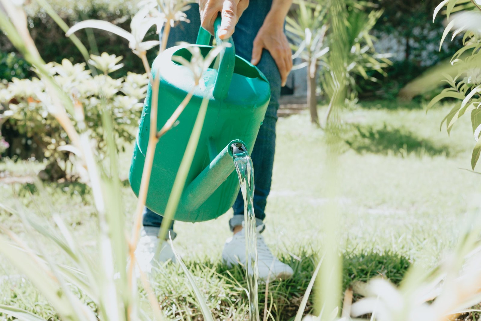 Green Watering Can Pours Water In Garden
